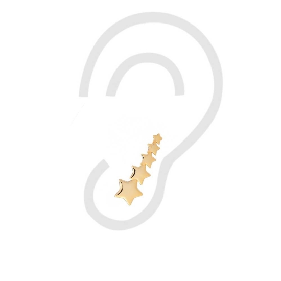 Pendientes Trepadores en Plata de Ley con baño de Oro siguiendo las tendencias más actuales. Resulta muy favorecedor con sus cin